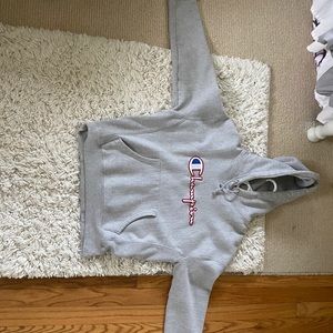 Champion hoodie